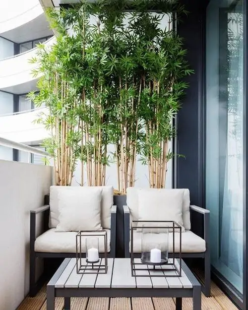Balcony / Terrace