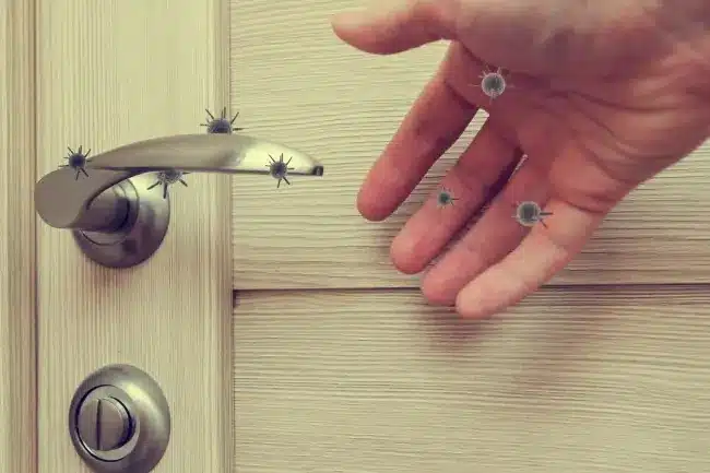 High-touch surfaces to clean&nbsp;and disinfect