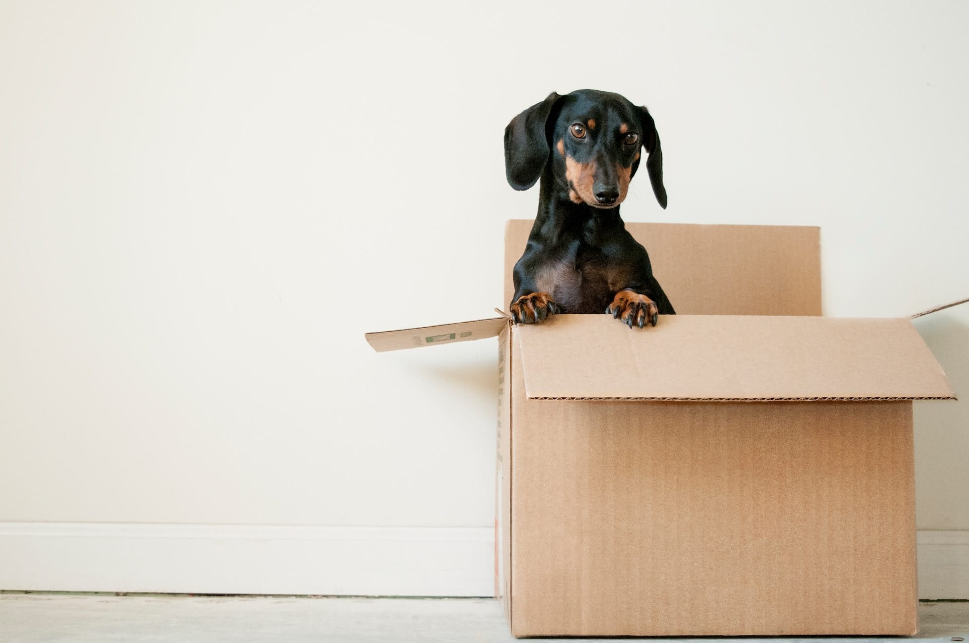 End of tenancy with eco solutions