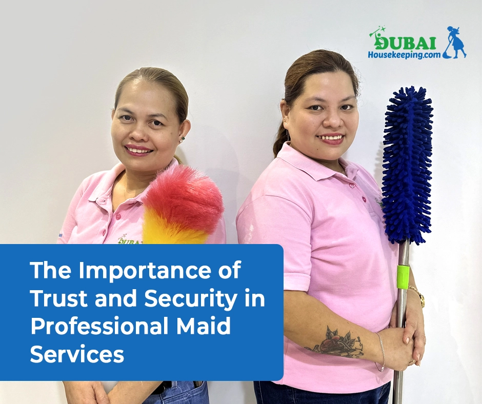 Professional Maid Services