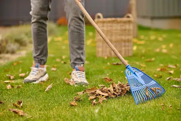 Male Feet Lawn Rake Near Leaves 259150 58539