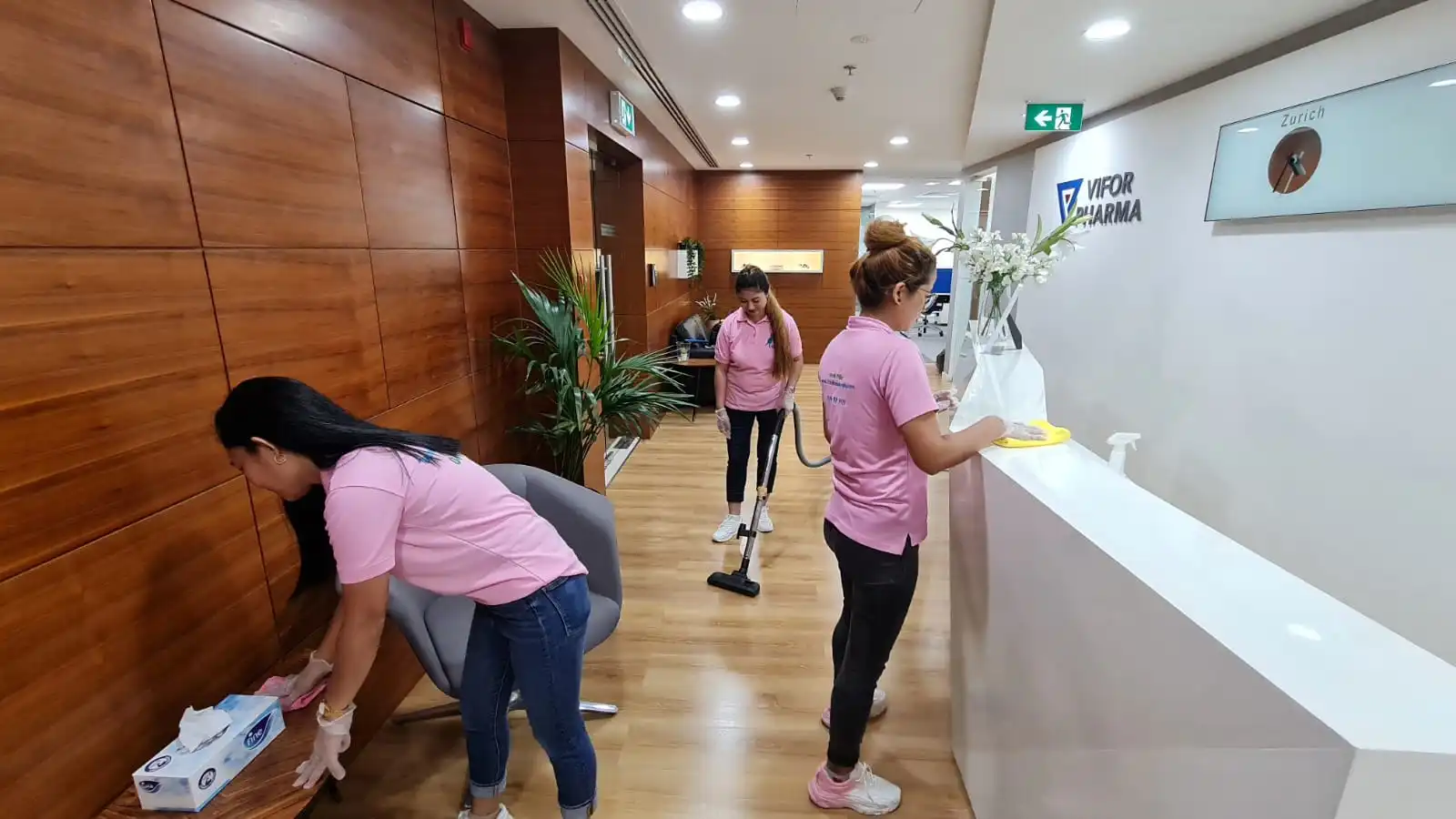 How a Typical Professional Cleaning Visit Works